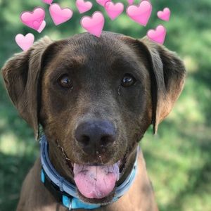 Meet your Posher, Ma